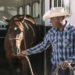 How To Make Trailering A Horse Easier On Everyone