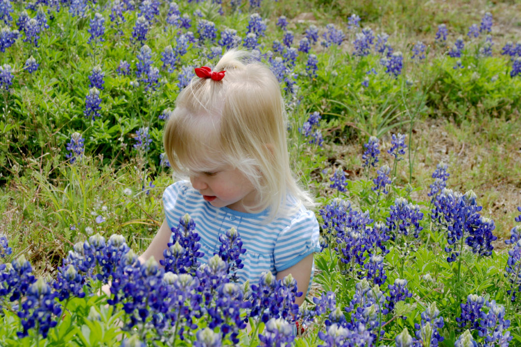 Small Girl in Bluebonnet Field