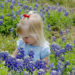 The Bluebonnets Are Blooming In Texas!
