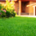 Help Your Lawn Thrive All Summer Long